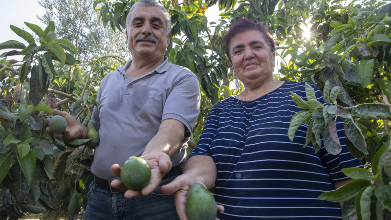 BÜYÜKŞEHİR’İN FİDE FİDAN DESTEKLERİ İLE ÜRETİM DE ÜRETİCİ DE BÜYÜYOR