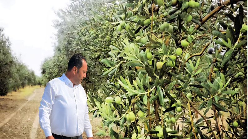 Zeytin ve Zeytinyağı Sektör Sorunları Masaya Yatırıldı