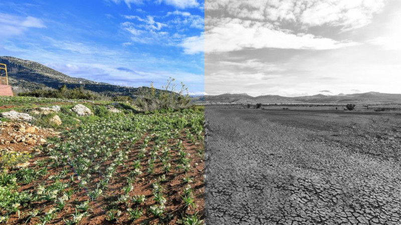 MERSİN BÜYÜKŞEHİR, İKLİM DEĞİŞİKLİĞİ VE YEŞİL DÖNÜŞÜM SÜREÇLERİNE ÖNCELİK VERİYOR