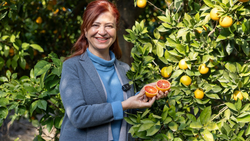 MERSİN KAN PORTAKALI COĞRAFİ İŞARET TESCİLİNİ ALDI