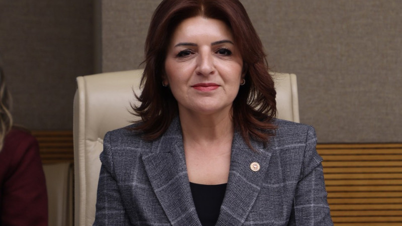 GÜLCAN KIŞ: “BU TORBA YASA BU HALİYLE GEÇEMEZ”