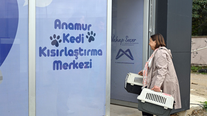 ANAMUR’DA SOKAKTAKİ PATİLİ CANLARA KAPILAR AÇILDI
