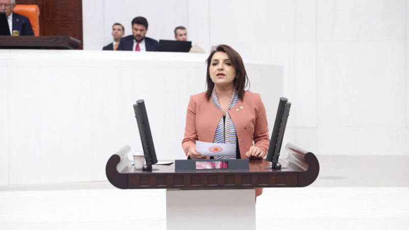 CHP’Lİ GÜLCAN KIŞ: “MİLLİ PARKLAR KANUNU, AKP’NİN 24 YILLIK SON SATIŞ KATALOĞUDUR”