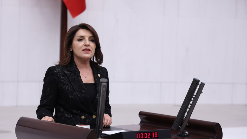 CHP MERSİN MİLLETVEKİLİ GÜLCAN KIŞ, D-400 KRİZİNİ MECLİS’E TAŞIDI