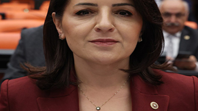 MERSİN MİLLETVEKİLİ GÜLCAN KIŞ: “VATANDAŞ İCRALIK, İKTİDAR SEYİRCİ”