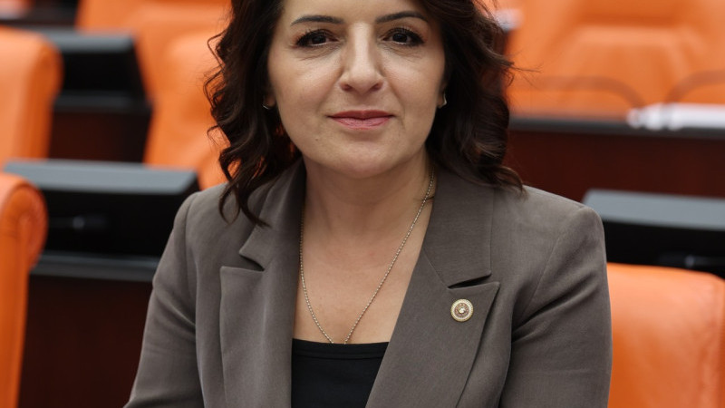 GÜLCAN KIŞ: