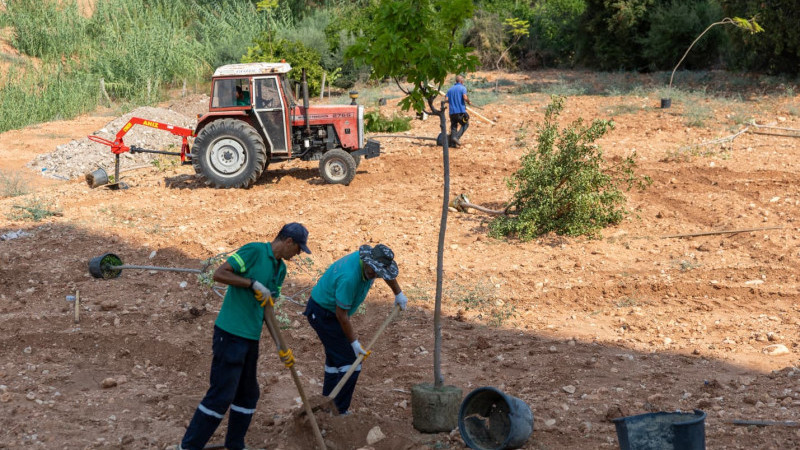 YENİŞEHİR’DE BUNALTAN SICAKLARA YEŞİL REÇETE