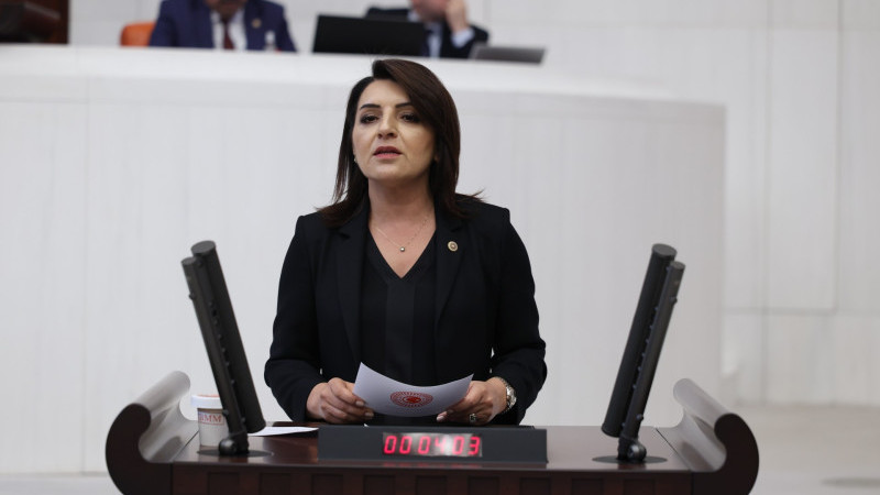 GÜLCAN KIŞ: