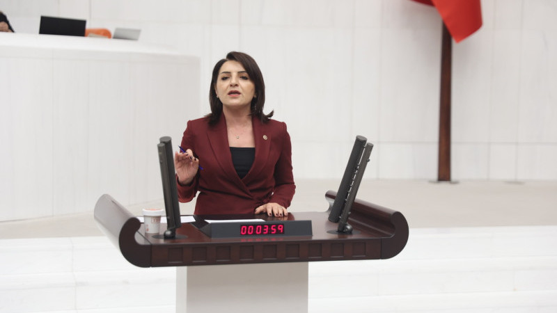 GÜLCAN KIŞ: “TÜRKİYE’DE GEÇİMİN ADI; KREDİ KARTI”